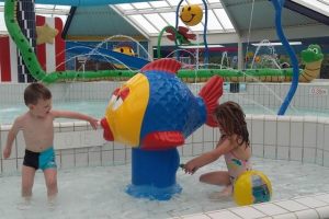 Fish-Handpump_Pooljoy-web