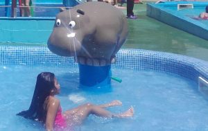 Pooljoy-Hippo-Handpump